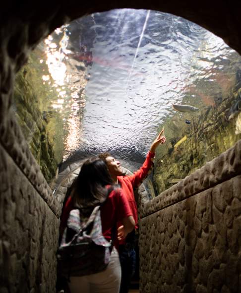 EC Aquarium