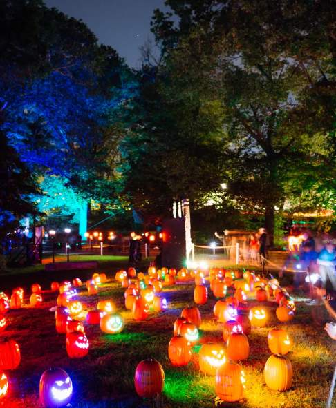 Glowing Pumpkin Trail