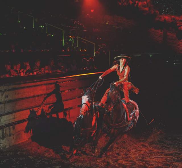 Dolly Parton Stampede Show