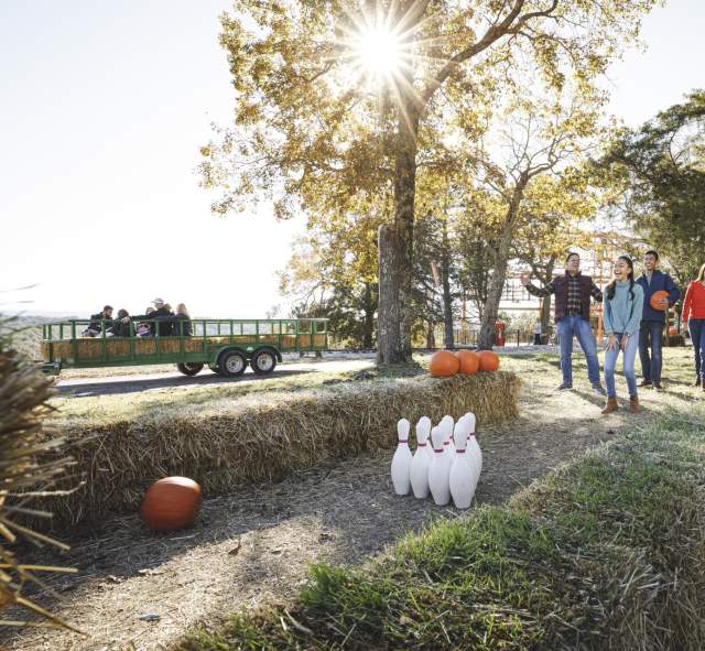 Family enjoying fall