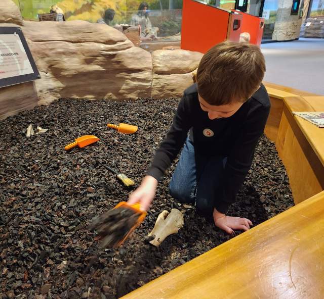 kid digging in the archeology pit at the journey museum in rapid city, sd