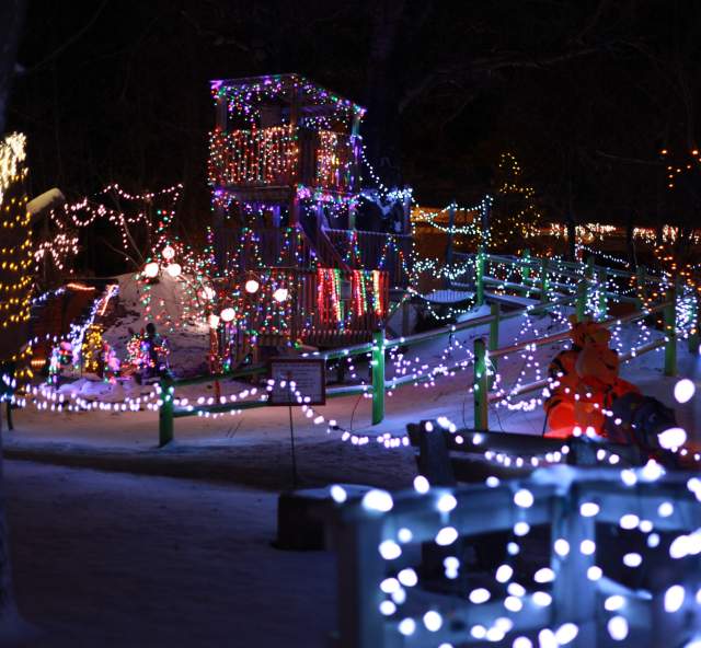 Play ground covered in christmas lights at storybook island's christmas nights of light event in rapid city, sd