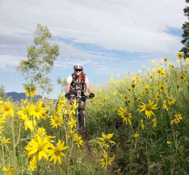Biker on Fraser to Granby Trail with wildflowers