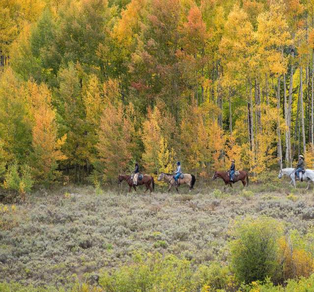 Group horsebackriding among fall trees
