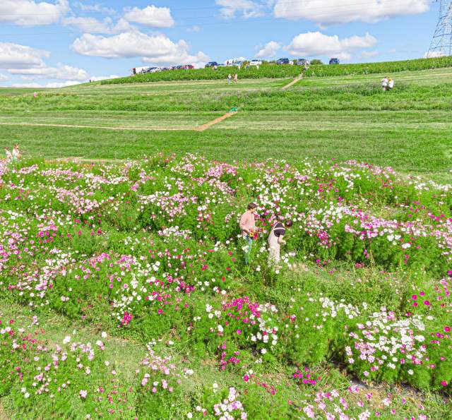 Simmons Farm