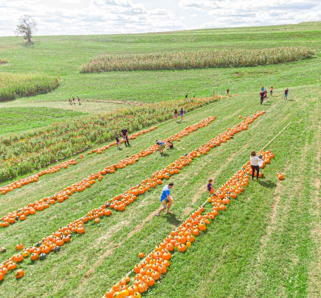 Simmons Farm