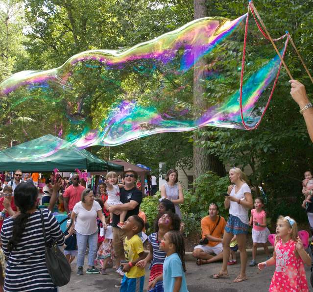 Bubbles Butterfly Festival