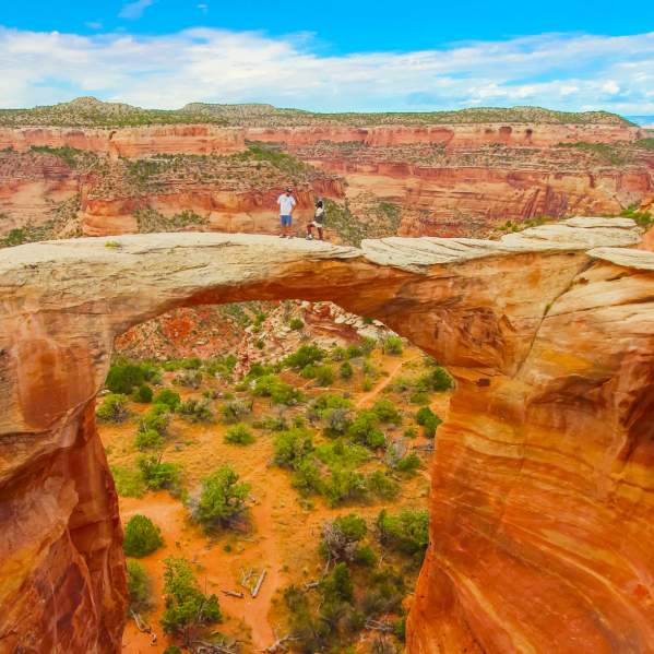Rattlesnake Canyon Arches