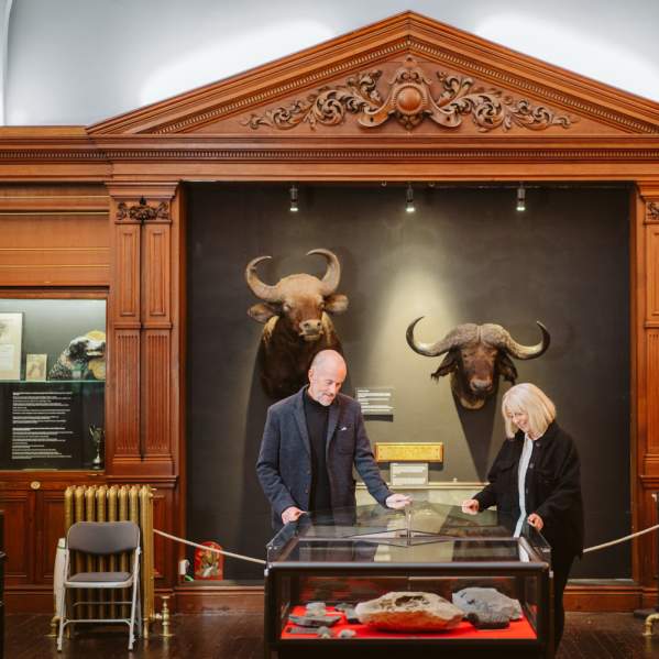 A man and woman looking in a display cabinet in an ornate room.