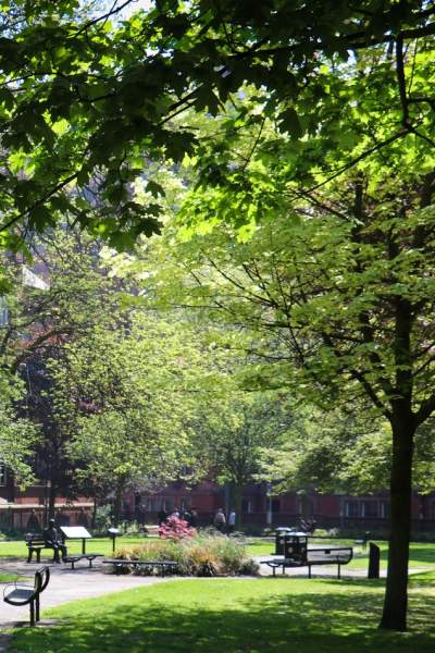 Top 10 tips to Visit Manchester Well