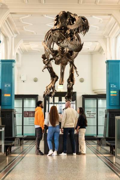 Group of people looking at dinosaur fossil in a museum