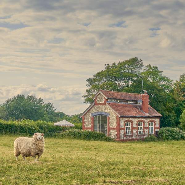 The Pump House, a flint self catering cottage set in the rolling countryside of theWiston Estate, Sussex