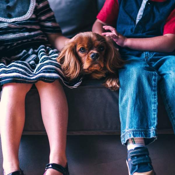 Two people with a dog sat on a sofa at a dog-friendly place to stay in Portsmouth