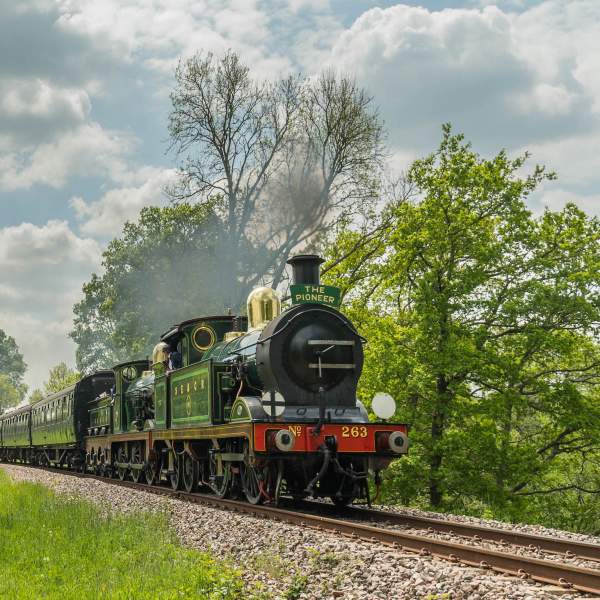 A green steam train travelling through the trees on Bluebell Railway, Sussex