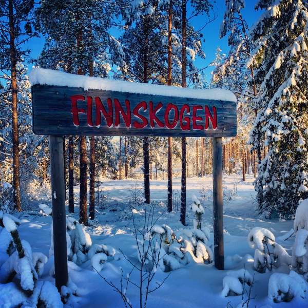 Finnskogen ved Gravberget gård