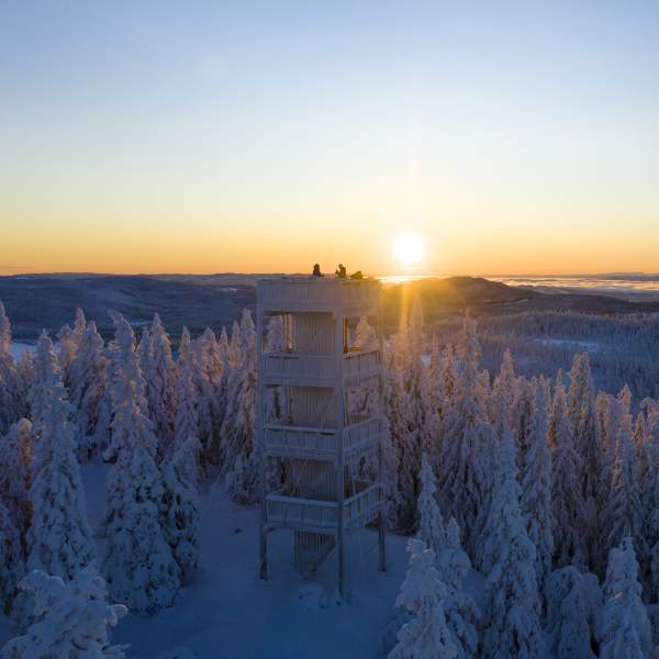 Dronebilde av Lushaugtårnet på Lygna ved solnedgang