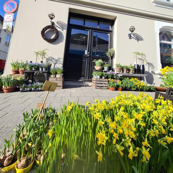 Easter lillys outside a flower shop
