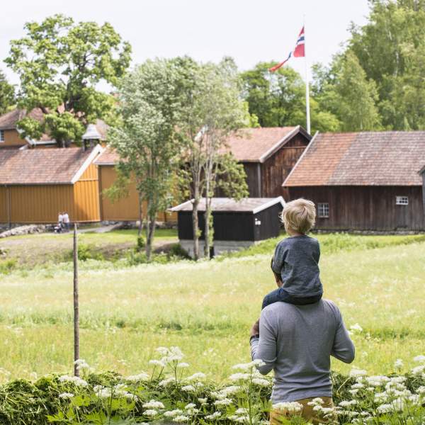 Sommer på Mjøsmuseet Stenberg