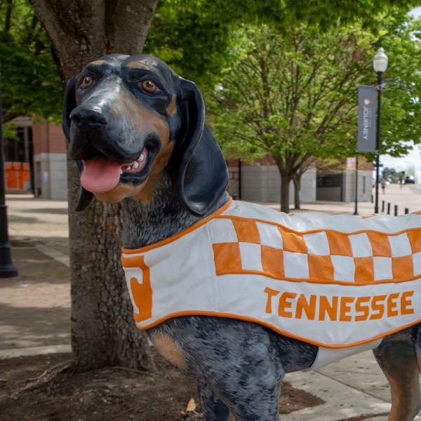 The UT Smokey Dog Statue