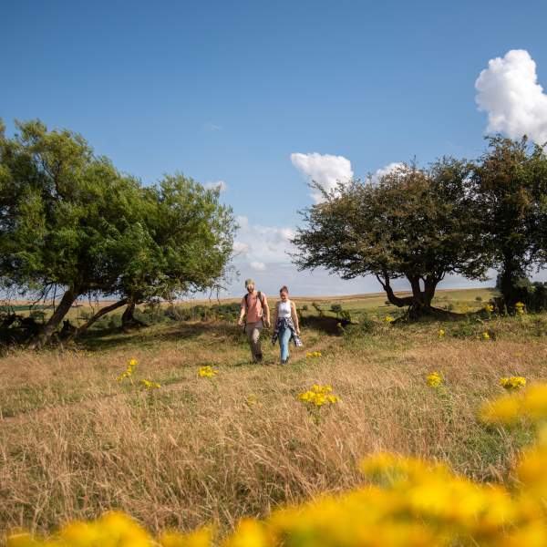 A couple walking through the Lincolnshire Wolds, with flowers in the forefront and blue skies overhead.