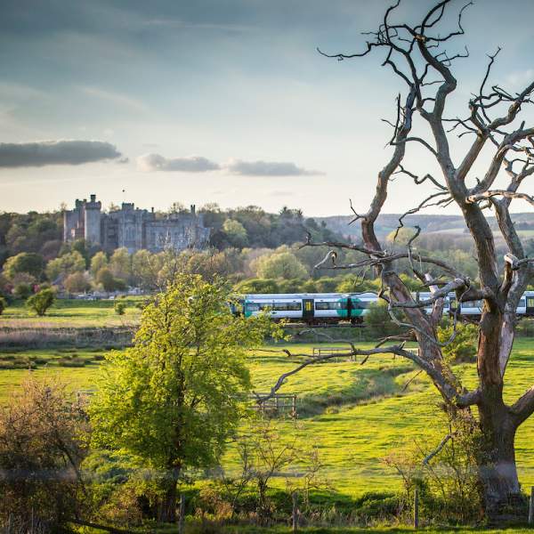 A four carriage train going past Arundel, with the Castle in the background and tress in the foreground