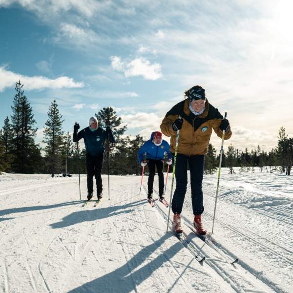 Cross country skiing course with Spreke Opplevelser at Budor