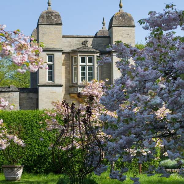 A path lined with spring blossom at Easton Walled Gardens, near Grantham