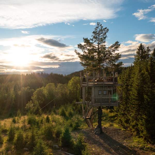Tretopphytter Brumunddal, Utsiktshytta in sunshine