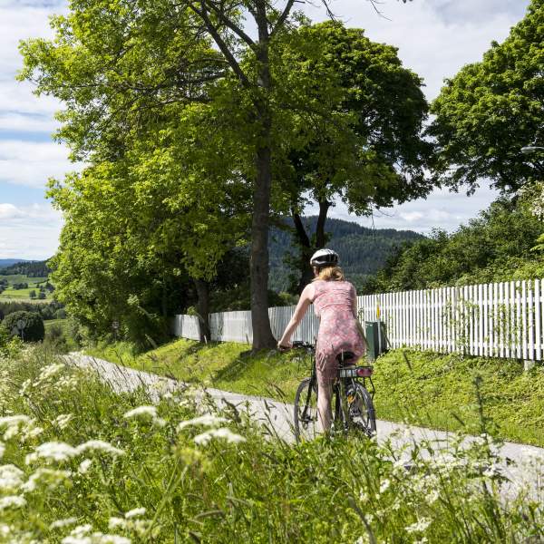 Sykle gjennom vakker natur nær Sløvika i Hadeland