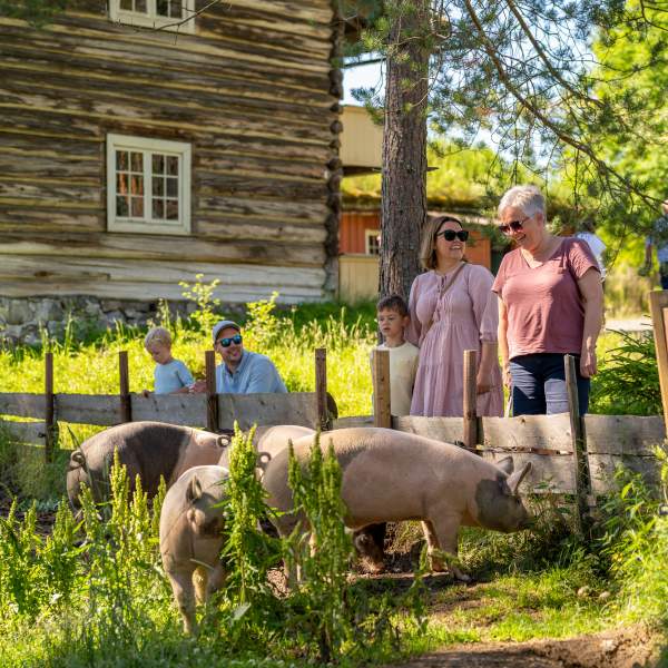 La barna møte dyrene på Anno Glomdalsmuseet