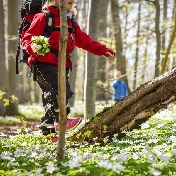 Dame som går tur i hvitveis i Albyskogen