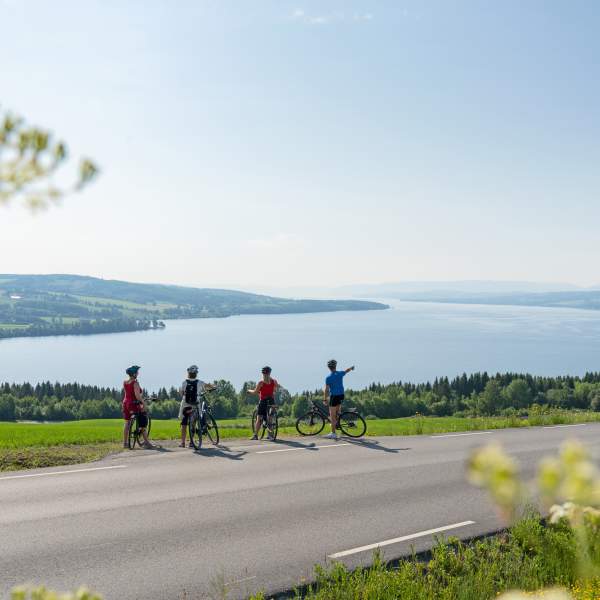 Utsikt over Mjøsa langs sykkelruta Mjøstråkk