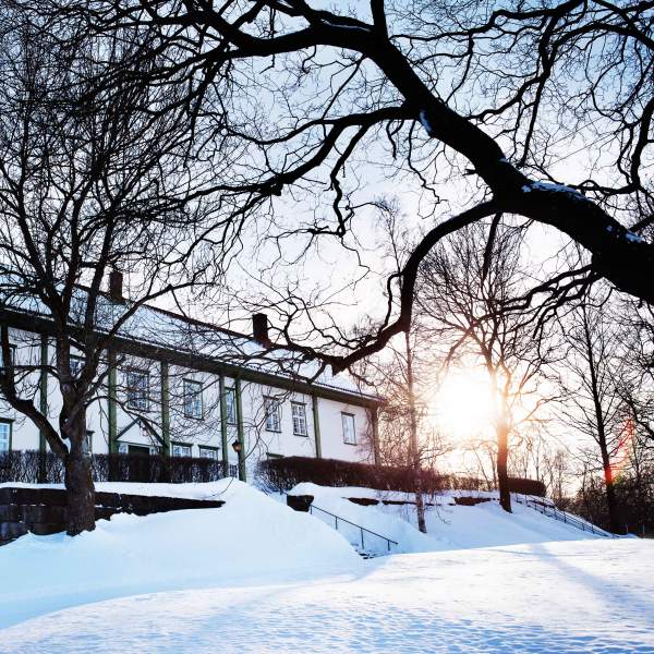 En flott vinterdag med solskinn på Hoel Gård