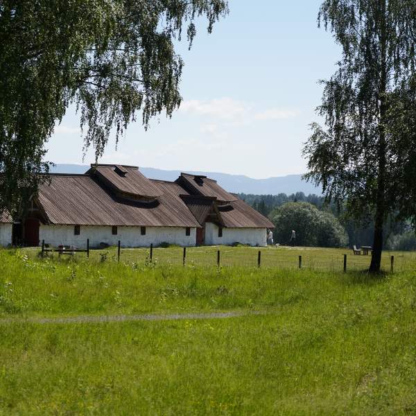 Veien Kulturminnepark - Langhuset sett fra skogen