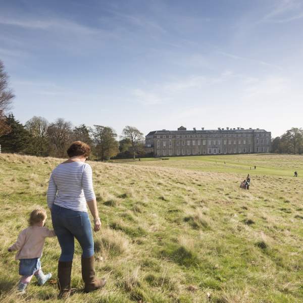 Petworth Park