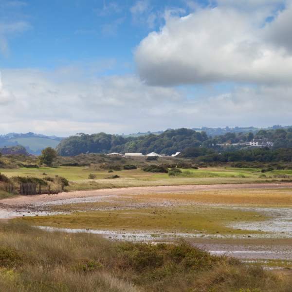 dawlish warren nature reserve