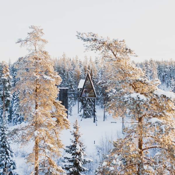 Drone photo from PAN Treetop Cabins