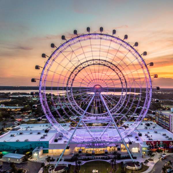 ICON Orlando™ aerial view of complex and wheel