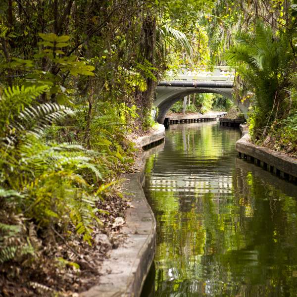 canal along the Winter Park Scenic Boat Tour