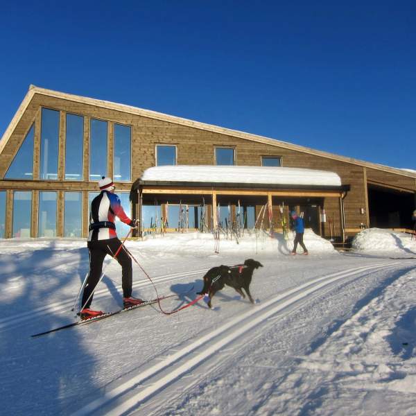 Cross country skiing to the Raustein cabin at Totenåsen