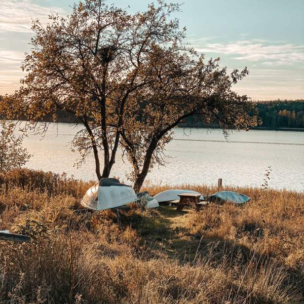 Små båter som ligger med bauen opp på land. Foto.