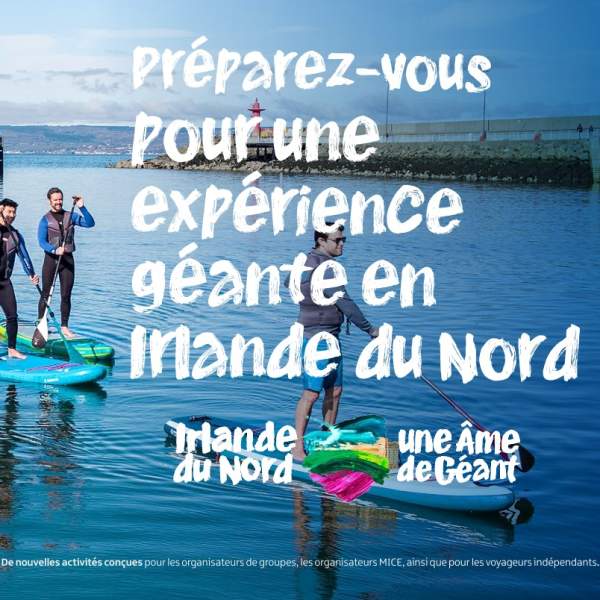 Buyers Guide French
