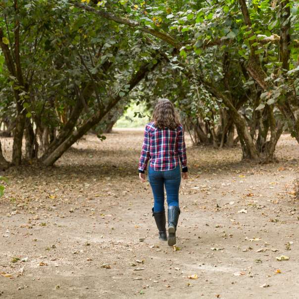 Woman walks through a hazelnut orchard.