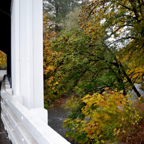 Earnest Covered Bridge in the rain