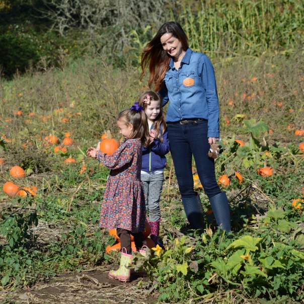 Northern Lights Christmas Tree Farm Pumpkin Patch