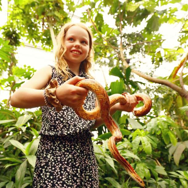 Girl holding snake at  Den Lille Dyrehage