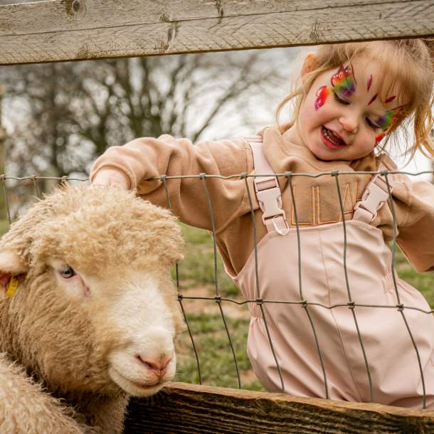 A little girl with her face painted like a butterfly strokes a sheep on its head