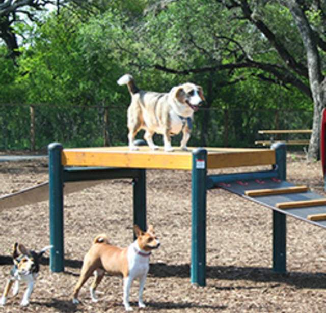 McAllister Dog Park