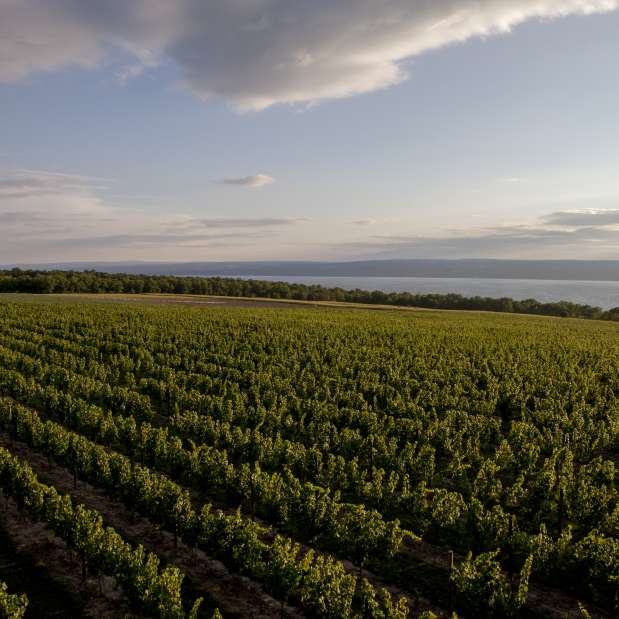 Breathtaking view of Boundary Breaks Vineyards