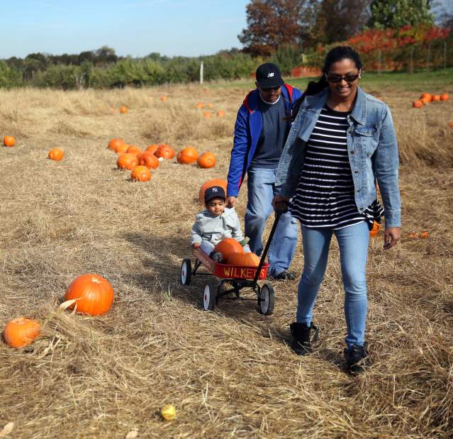 Wilkens Farm high res